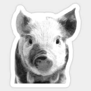 Black and White Pig Sticker